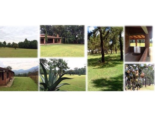 Land in Jilotzingo, Hueypoxtla