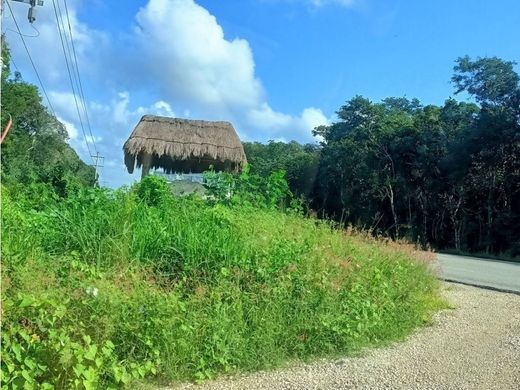 Land in Felipe Carrillo Puerto, Quintana Roo