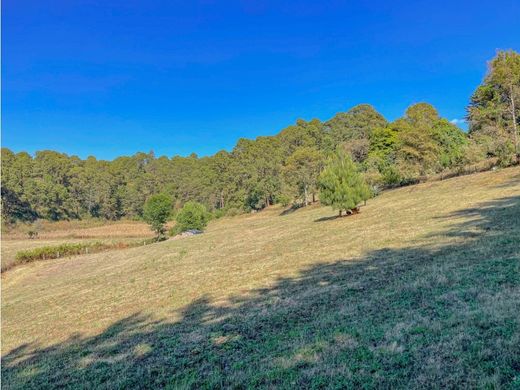 ‏קרקע ב  Valle de Bravo, Estado de México