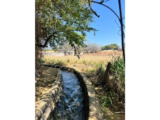 Land in Emiliano Zapata, Morelos