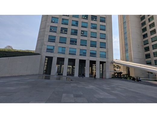 Office for rent per month in Miguel Hidalgo