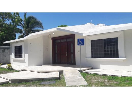Ofis Playa del Carmen, Solidaridad