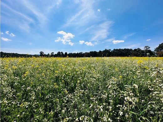 Grond in Valle de Bravo, Mexico (staat)