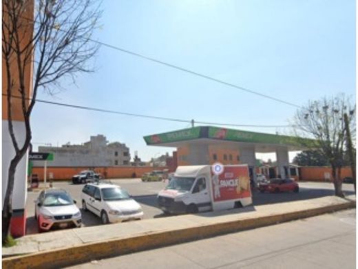 Arsa Sanctorum, Cuautlancingo