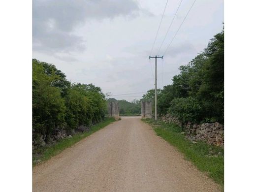 Terreno a Hunucmá, Yucatán