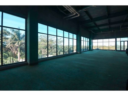 사무실 / Mérida, Estado de Yucatán