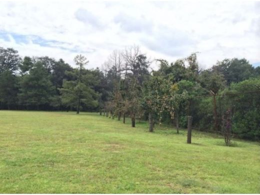 Участок, Jilotzingo, Hueypoxtla