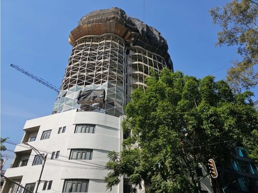 Apartment in Mexico City, The Federal District