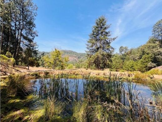 Αγροτεμάχιο σε Valle de Bravo, Estado de México