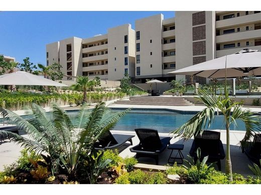 Appartement à Cabo San Lucas, Los Cabos