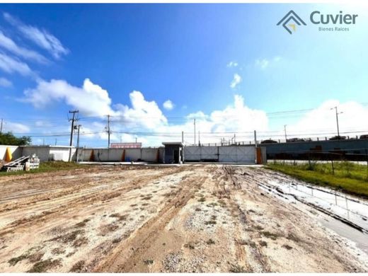 Teren w Altamira, Tamaulipas