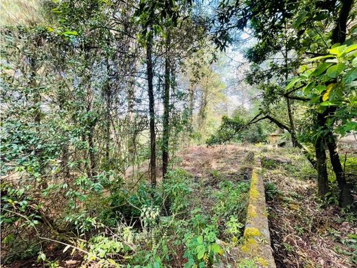 Αγροτεμάχιο σε Valle de Bravo, Estado de México