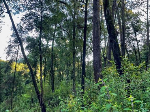 Terreno a Valle de Bravo, Messico (stato federato)