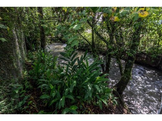 토지 / Valle de Bravo, Estado de México
