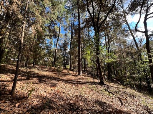 토지 / Valle de Bravo, Estado de México