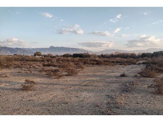 Land in Ramos Arizpe, Coahuila