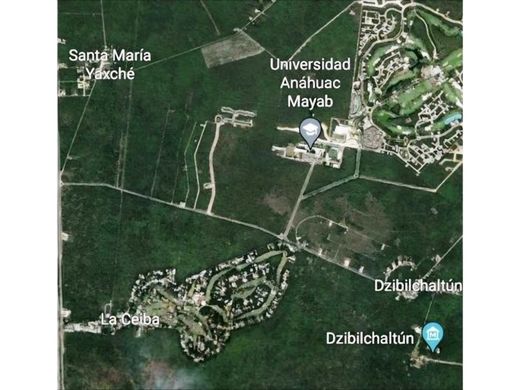 Участок, Мерида, Mérida