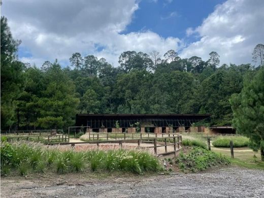 ‏קרקע ב  Valle de Bravo, Estado de México