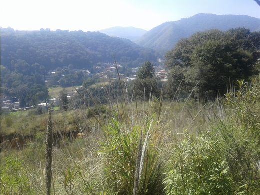 地皮  Huixquilucan, 墨西哥州