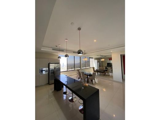 아파트 / San Pedro, China