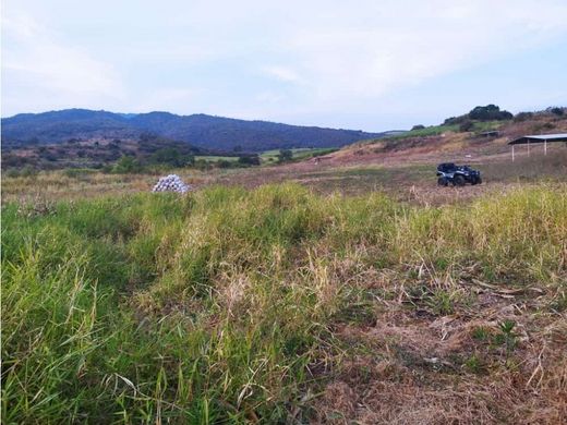 Arsa Tocumbo, Estado de Michoacán de Ocampo