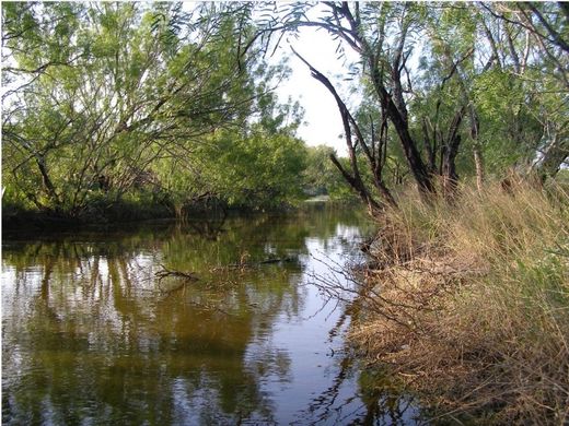 Terreno en Ciudad Sabinas Hidalgo, Sabinas Hidalgo