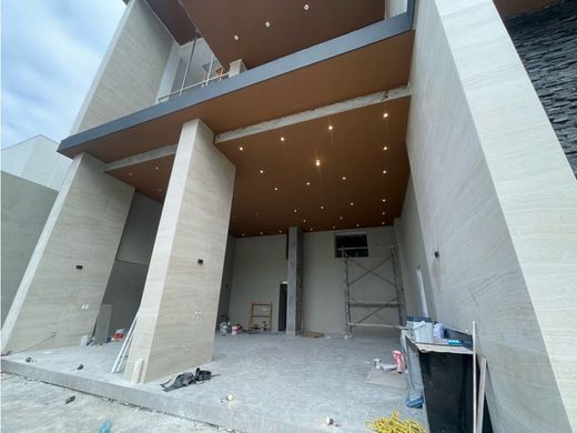 호화 저택 / Abasolo, Estado de Nuevo León