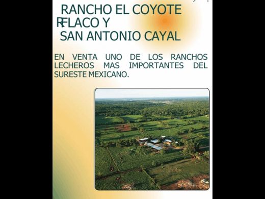 Farmhouse in Campeche