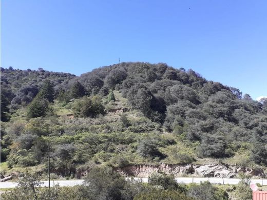 Arsa Mineral del Monte, Estado de Hidalgo