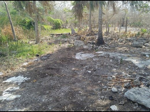 Land in Puerto Morelos, Benito Juárez