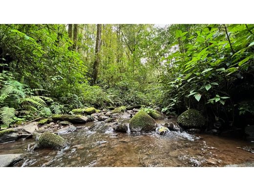 ‏קרקע ב  Valle de Bravo, Estado de México