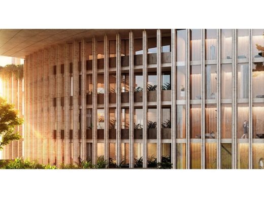 Daire San Pedro, China