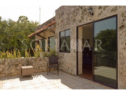 Colonia Benito Juárez, Villa de Tezontepecの高級住宅
