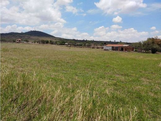 Terreno a Cajititlán, Tlajomulco de Zúñiga