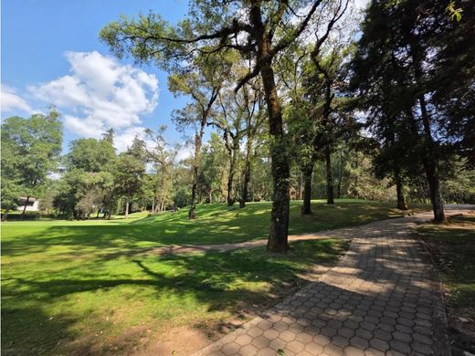 أرض ﻓﻲ Valle de Bravo, Estado de México