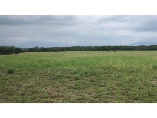 Land in Montemorelos, Nuevo León