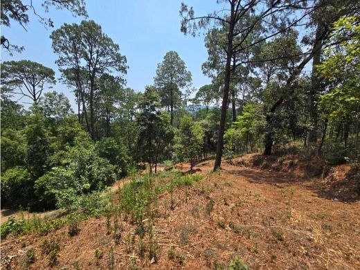 ‏קרקע ב  Valle de Bravo, Estado de México