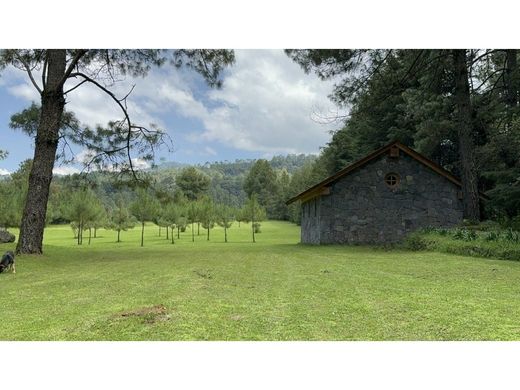 Rustykalny lub Wiejski w Valle de Bravo, Estado de México