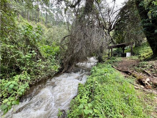 Rustik ya da çiftlik Valle de Bravo, Estado de México