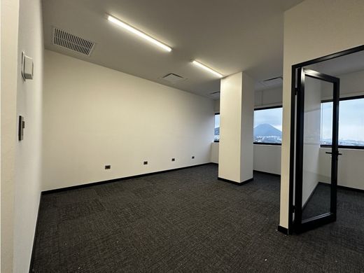 Ofis Monterrey, Estado de Nuevo León