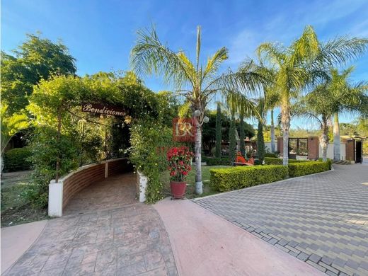 Luxury home in Ciudad Obregón, Cajeme