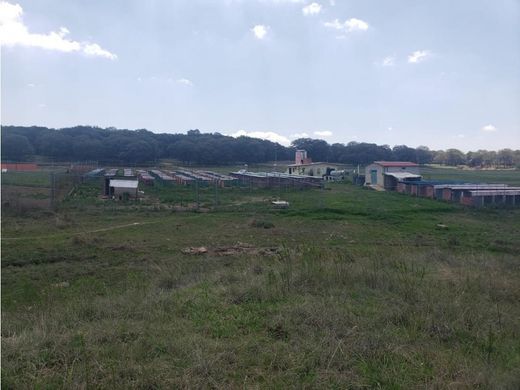 토지 / Tepotzotlán, Estado de México