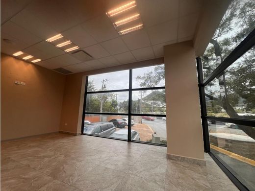 Kantoor in Monterrey, Nuevo León