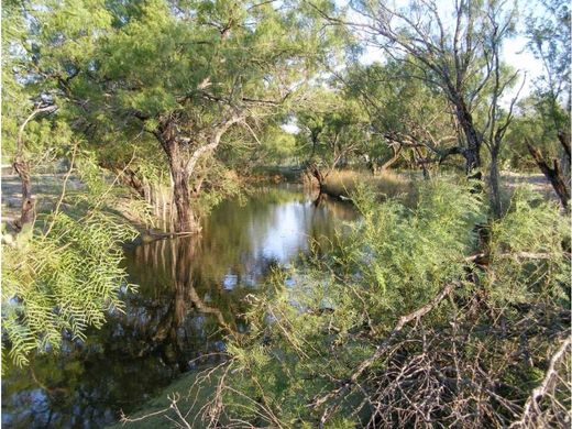 Terreno en Ciudad Sabinas Hidalgo, Sabinas Hidalgo