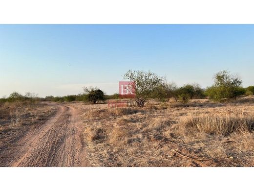 Αγροτεμάχιο σε Ciudad Obregón, Cajeme