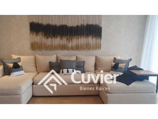 Квартира, Альтамира, Altamira