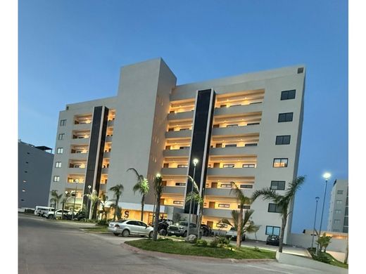 Daire Altamira, Estado de Tamaulipas