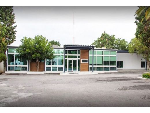 Office in Saltillo, Coahuila