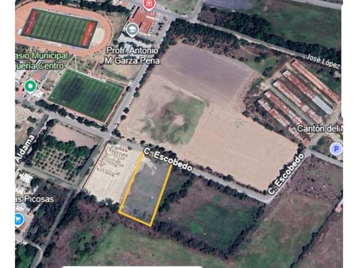 Arsa Pesquería, Estado de Nuevo León