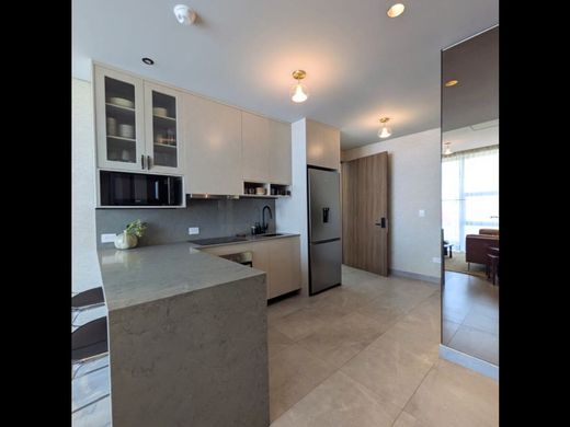 套间/公寓  Santa Catarina, 新萊昂州